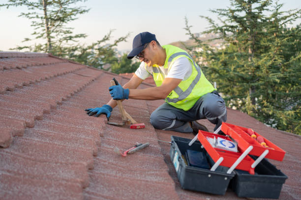 Best Roof Gutter Cleaning  in Osage, IA